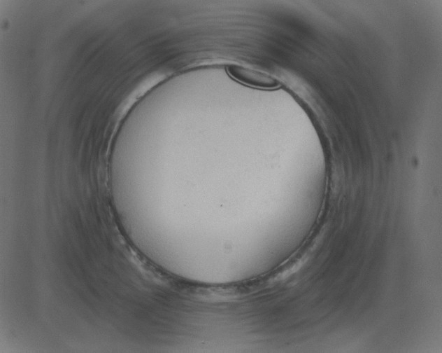 X0000081281145200702012212