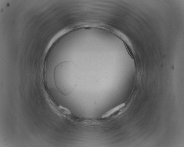 X0000081281146200702012212