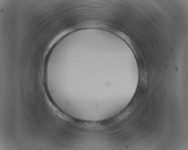 X0000081281147200702012212