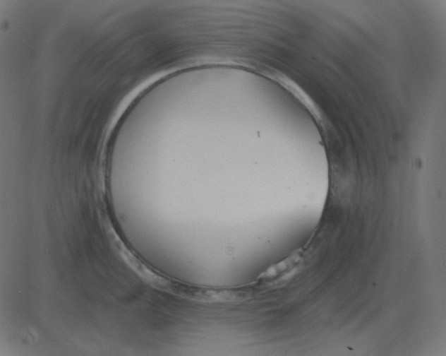 X0000081281148200702012212