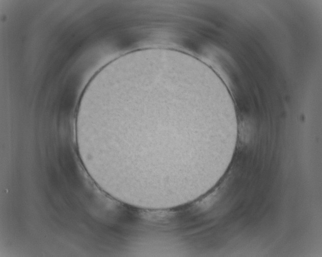 X0000081281150200702012212