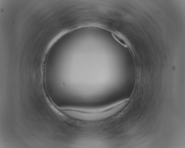 X0000081281151200702012212