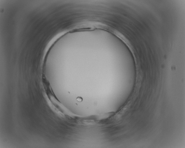 X0000081281152200702012212