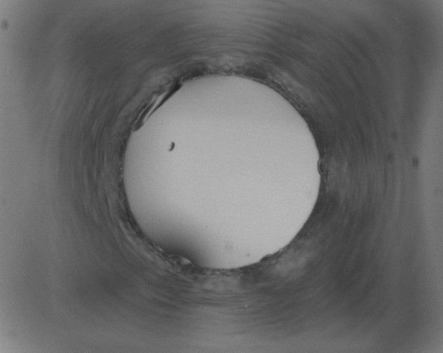 X0000081281153200702012211