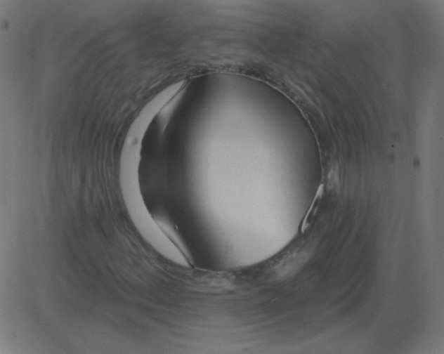 X0000081281156200702012211