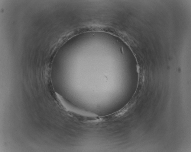 X0000081281157200702012211