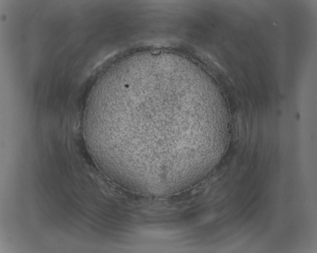 X0000081281158200702012211