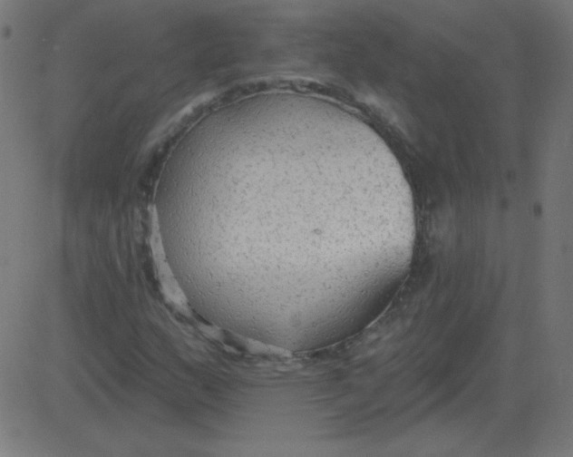 X0000081281159200702012211