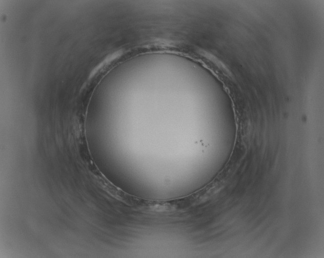 X0000081281160200702012211