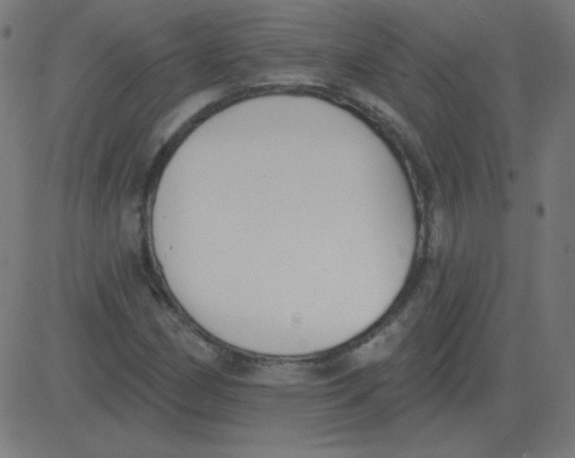 X0000081281162200702012211