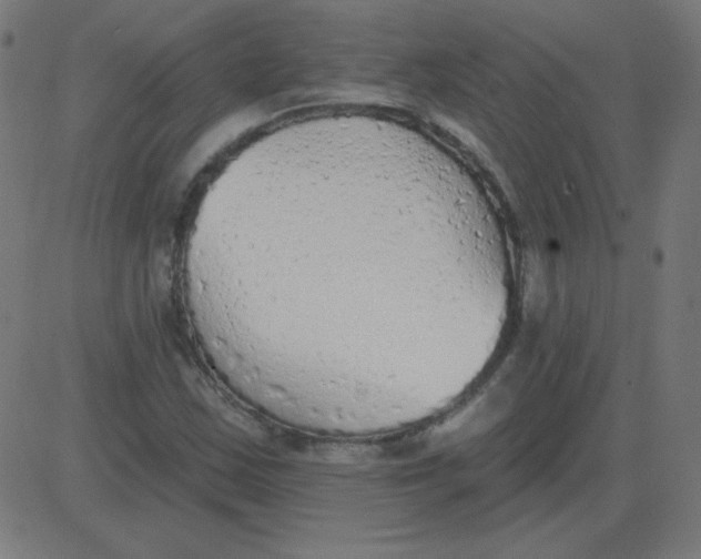 X0000081281163200702012211