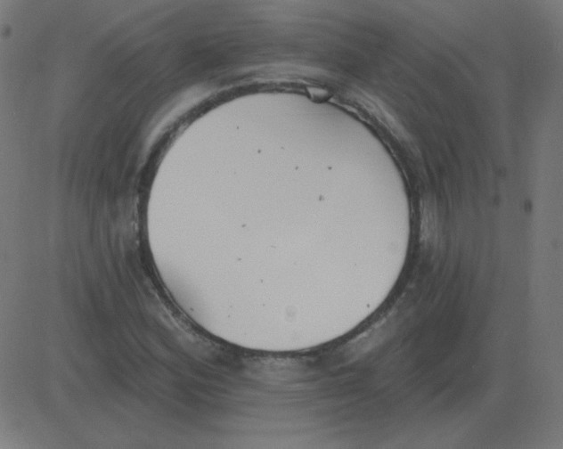 X0000081281164200702012211