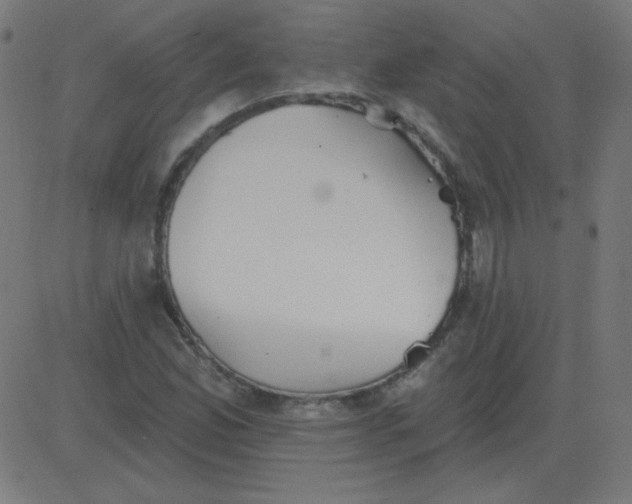 X0000081281165200702012211