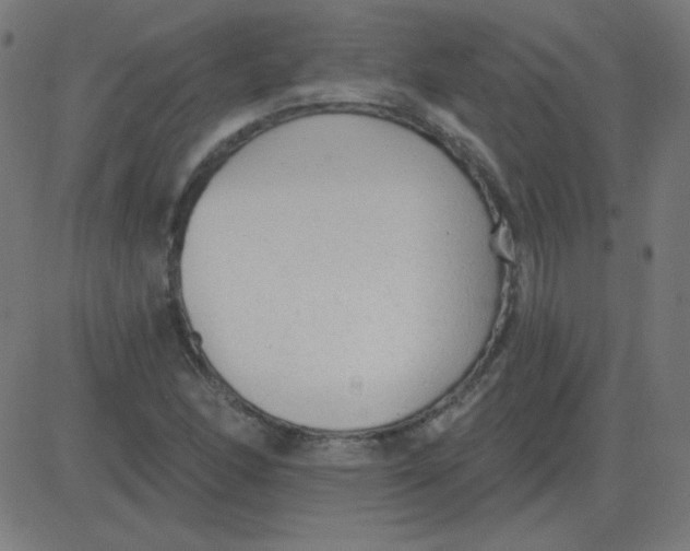 X0000081281166200702012211