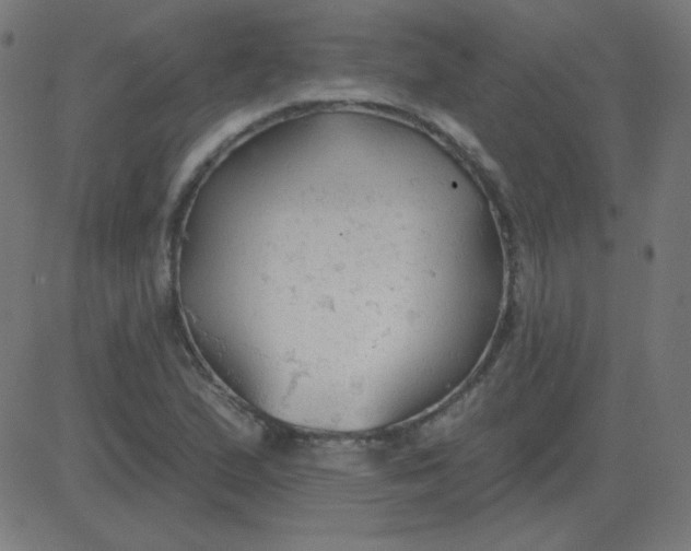 X0000081281167200702012211