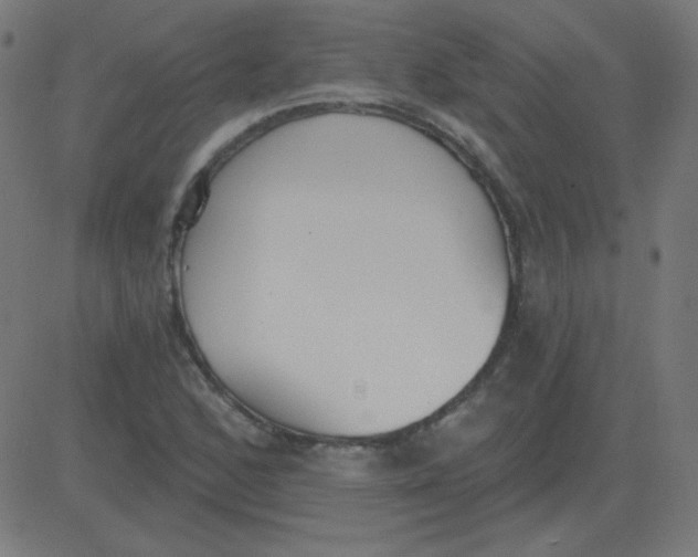 X0000081281168200702012211