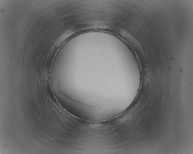 X0000081281169200702012211