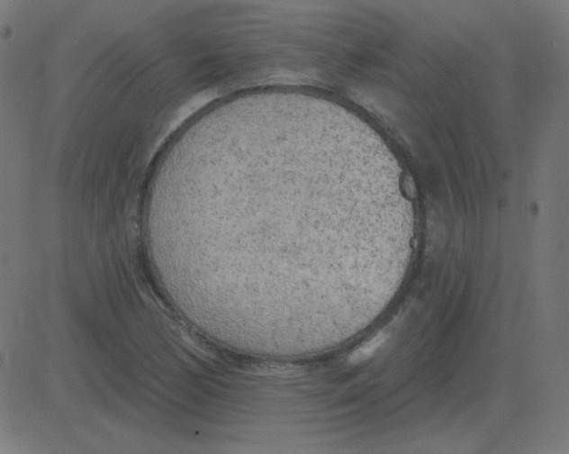 X0000081281170200702012211