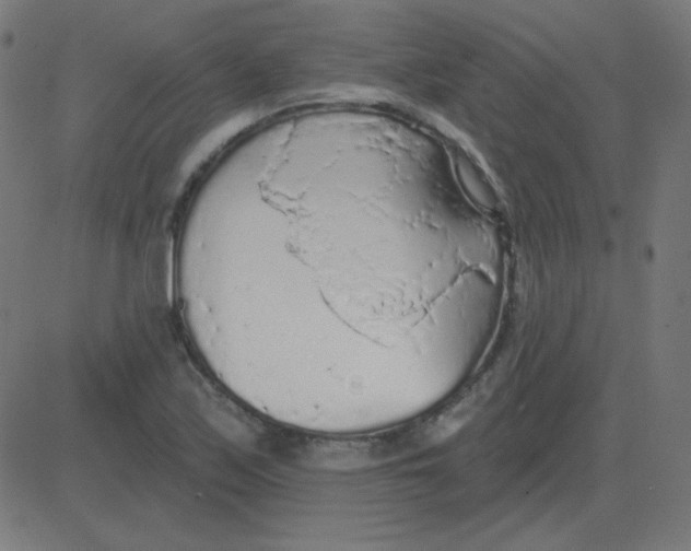 X0000081281171200702012211