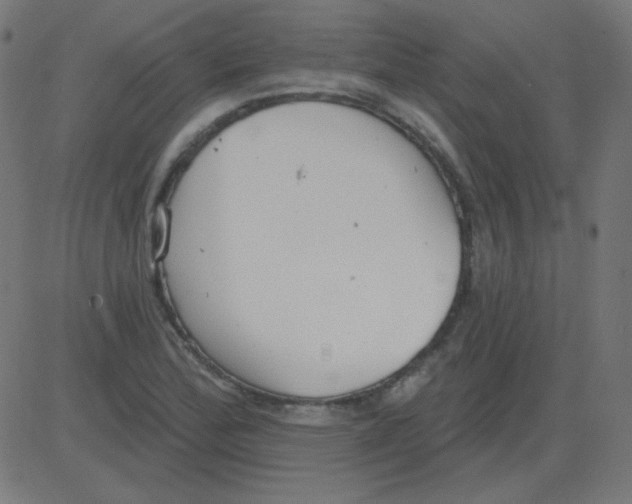 X0000081281172200702012211