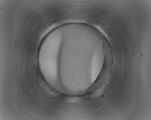 X0000081281173200702012211