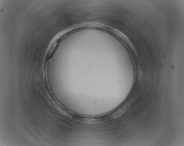 X0000081281176200702012211