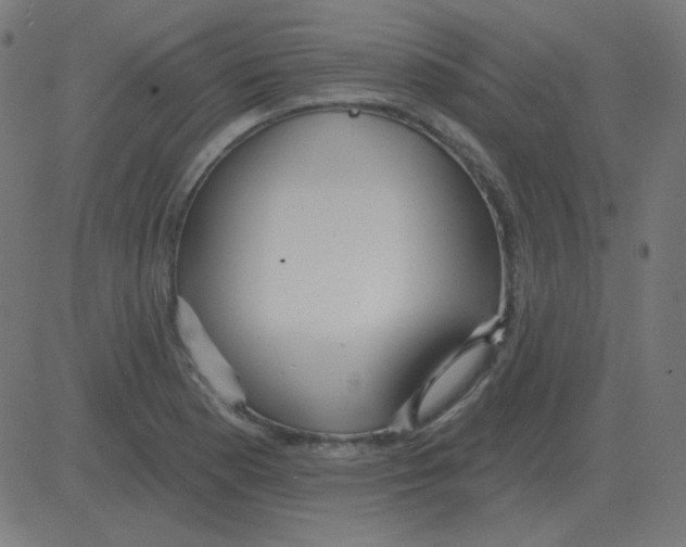 X0000081281177200702012211