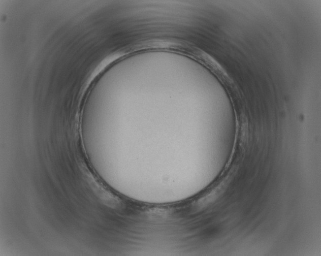 X0000081281178200702012211