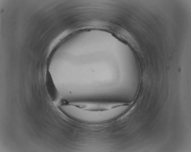 X0000081281180200702012211