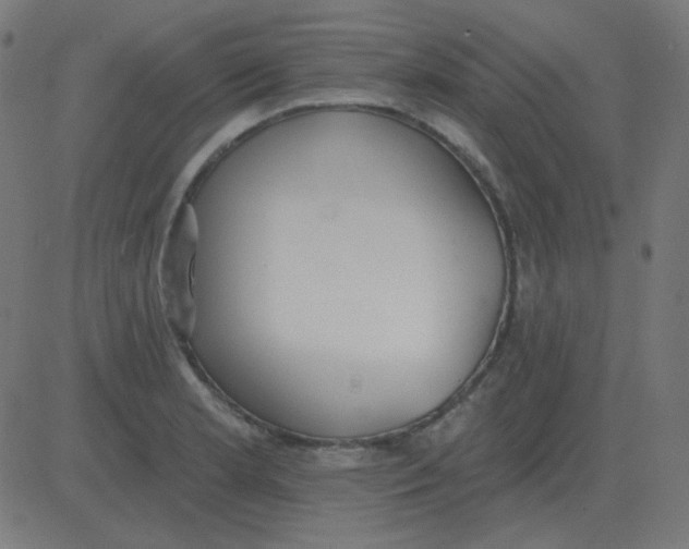 X0000081281181200702012211