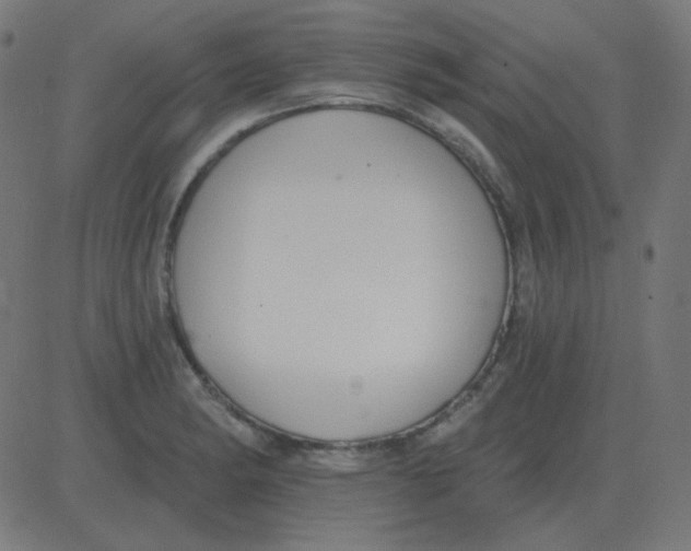 X0000081281182200702012211