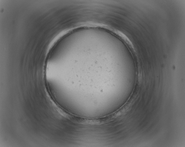 X0000081281183200702012211