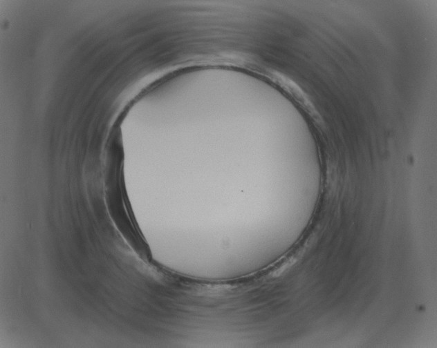 X0000081281184200702012211