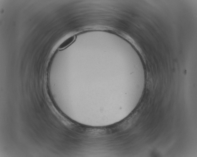 X0000081281187200702012211