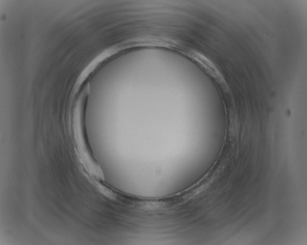 X0000081281188200702012211