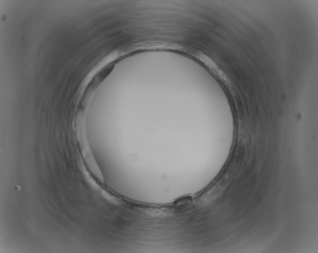 X0000081281189200702012211