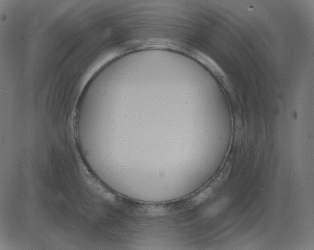 X0000081281190200702012211