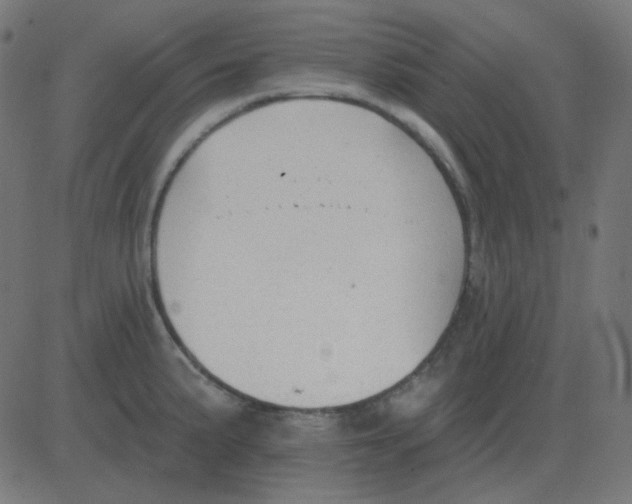 X0000081281191200702012211