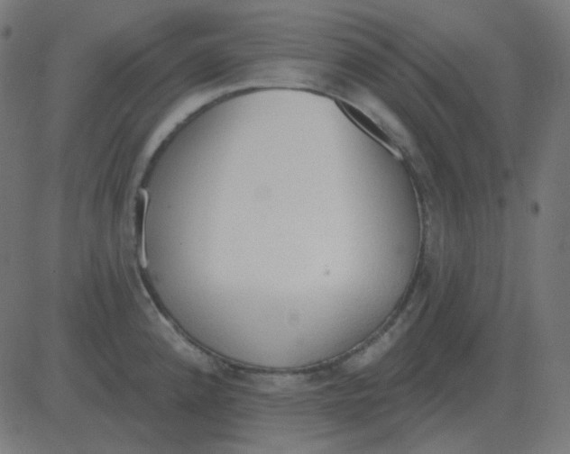 X0000081281192200702012211