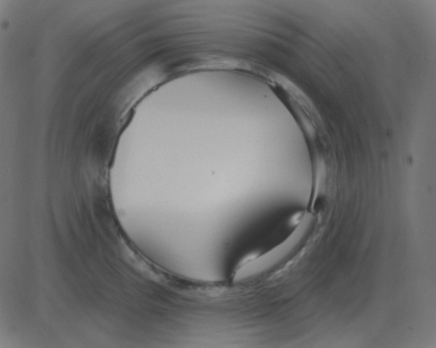 X0000081281193200702012211