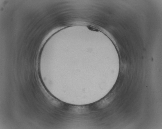 X0000081281195200702012211