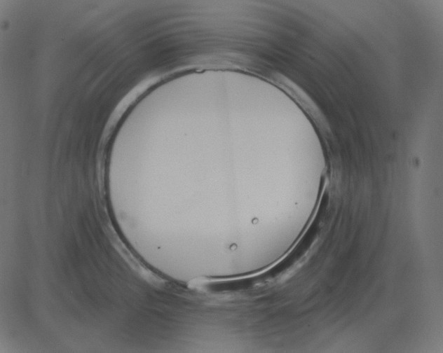 X0000081281196200702012211