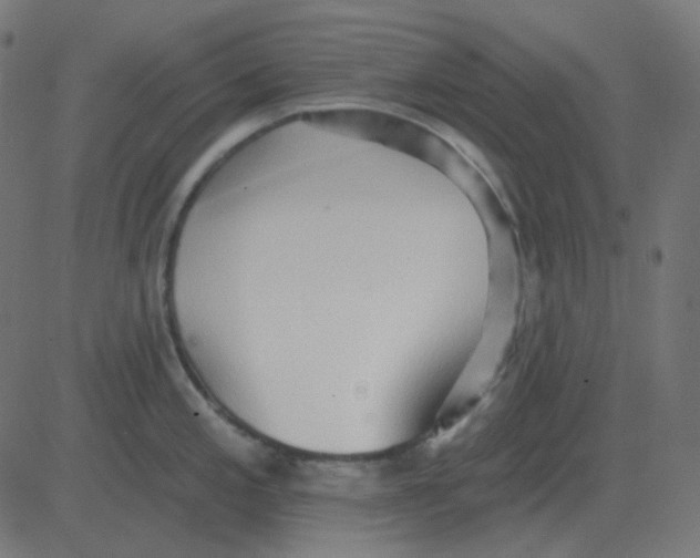 X0000081281197200702012211