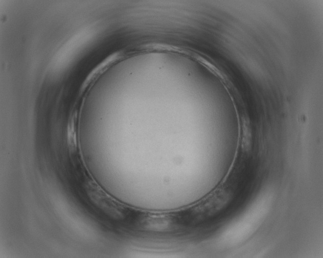 X0000081281198200702012211