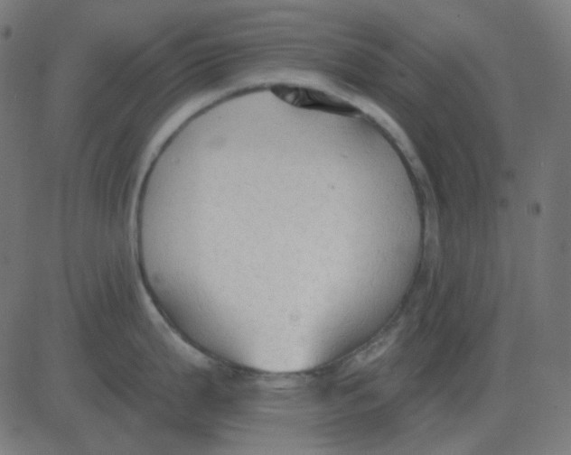 X0000081281199200702012211