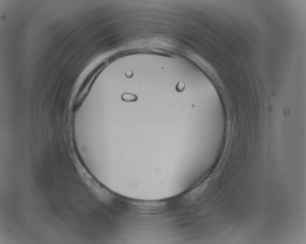 X0000081281200200702012211