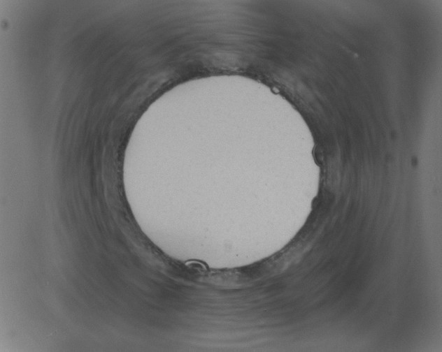 X0000081281201200702012210