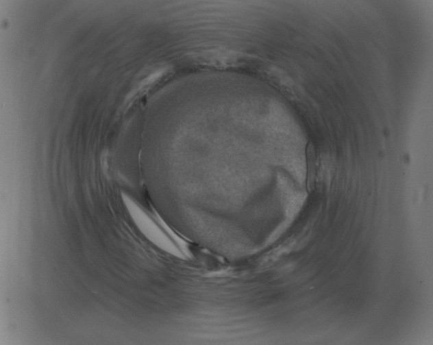 X0000081281202200702012210