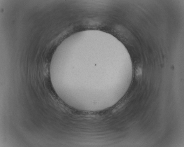 X0000081281204200702012210