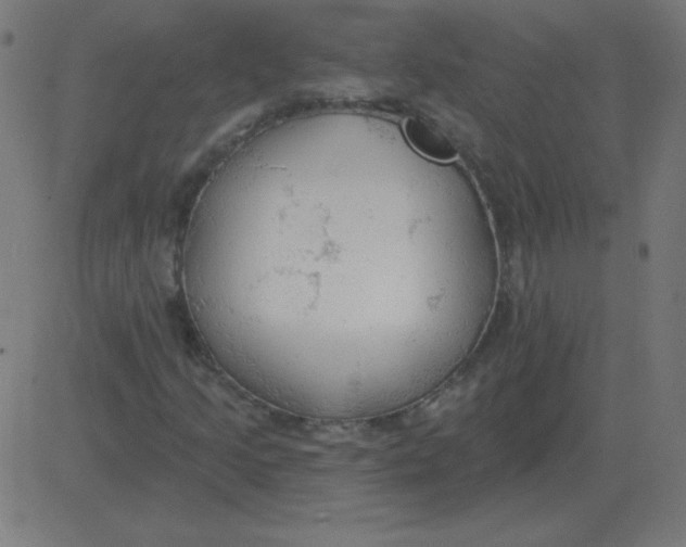 X0000081281205200702012210